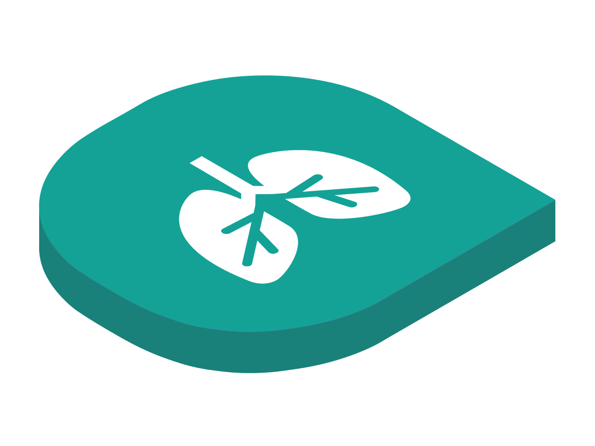 pulmonologistconnect